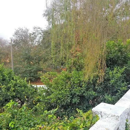 Tono Ferienhaus